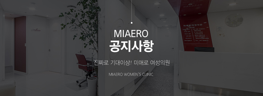 공지사항 상단