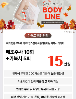 [이벤트 종료] 실루엣이 살아나는 BODY LINE [~24.11.30]